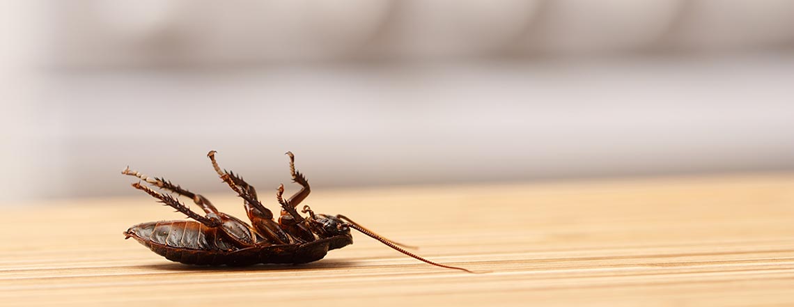 PEST WASTE DISPOSAL & SANITATION PEST WASTE DISPOSAL & SANITATION